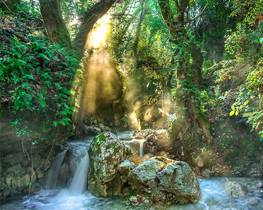 Wasserfall im Wald